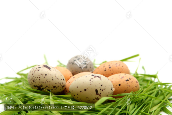 復(fù)活節(jié)彩蛋