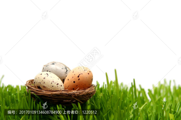 復活節(jié)彩蛋