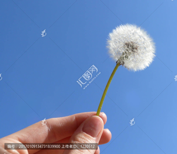 許一個愿望