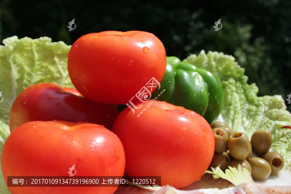 蔬菜