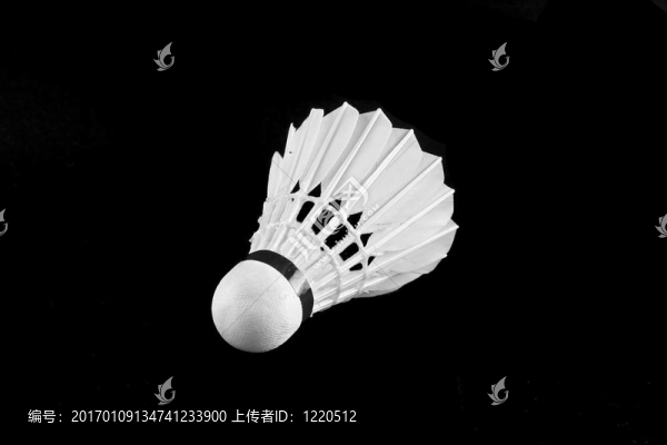 羽毛球