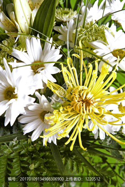 一束花