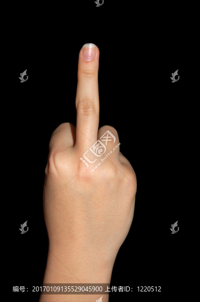 中指-匯圖網(wǎng) www.fosd68.com 中指