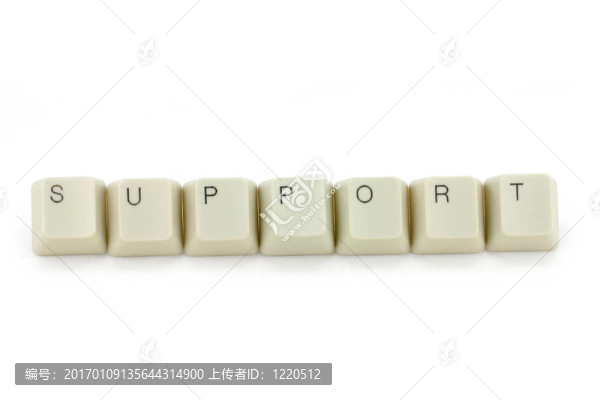 概念的支持