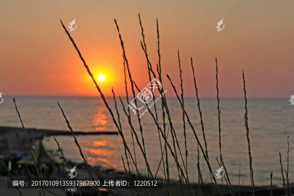 red_sunset