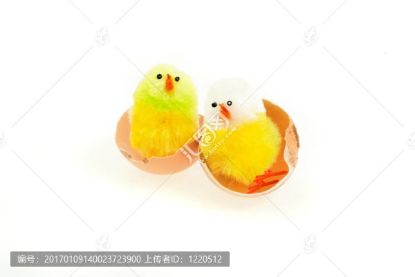 新的生活