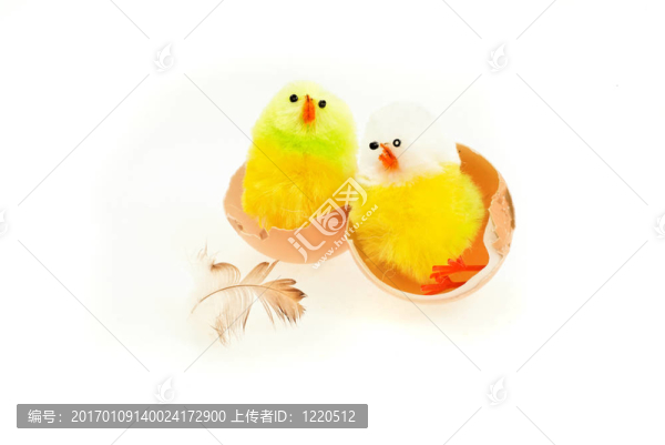 新的生活