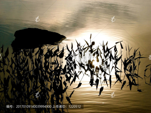 湖的日出-匯圖網(wǎng) www.fosd68.com 湖的日出