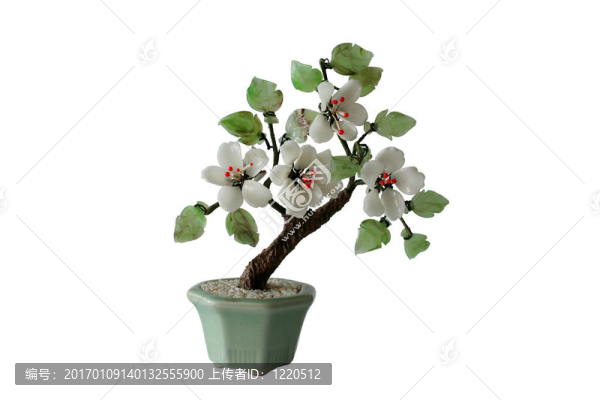 對盆景樹模型（隔離）