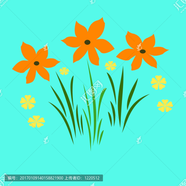 橙色的花