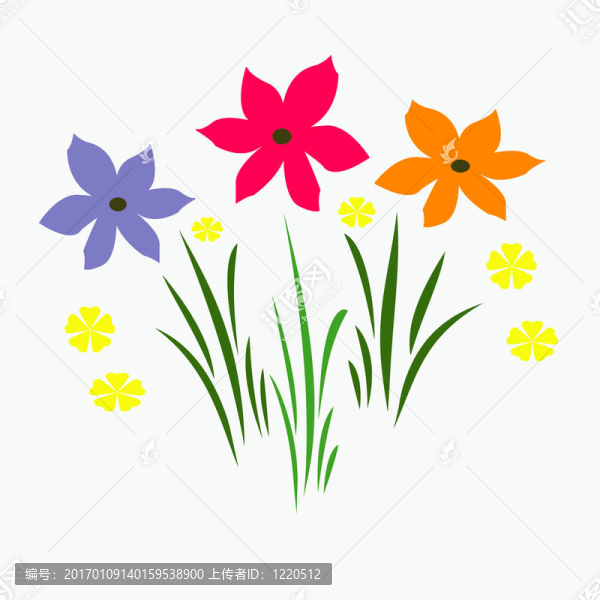春天的花朵