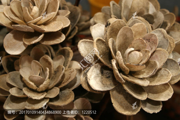 手工制作的花朵