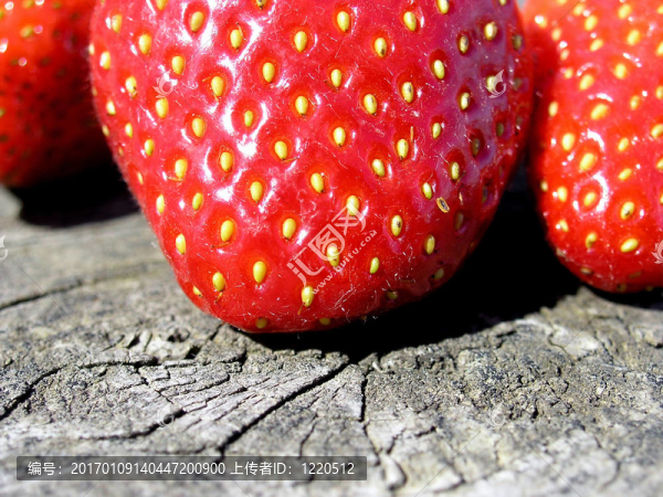 極端的特寫鏡頭。