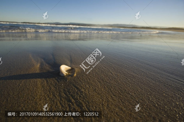 海灘
