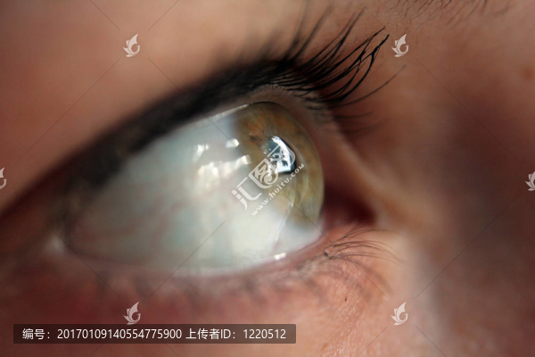 眼睛