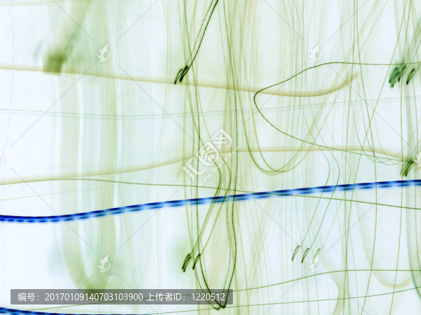 帶藍線的淺綠色抽象