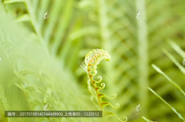 新的生活