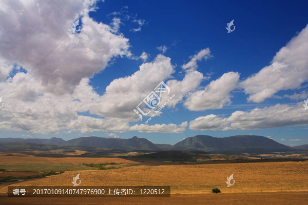 haybales,4