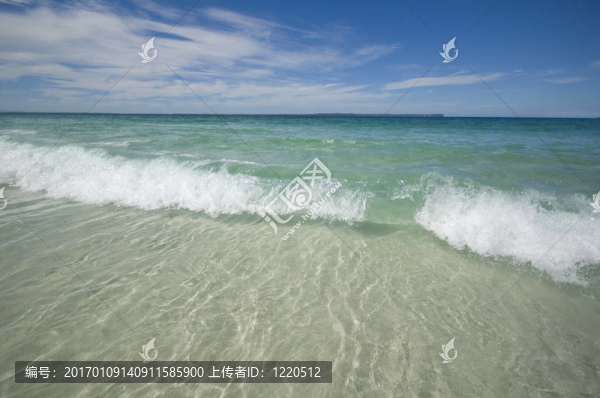 熱帶天堂-匯圖網(wǎng) www.fosd68.com 熱帶天堂