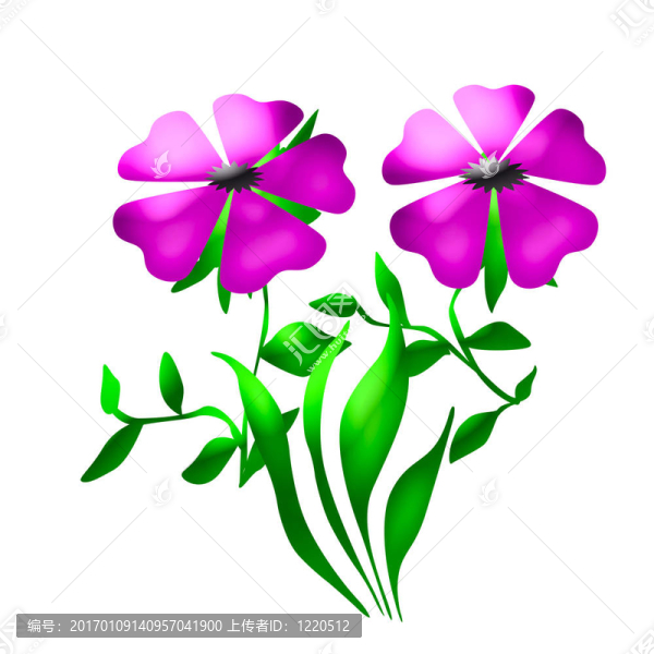 春天的花朵