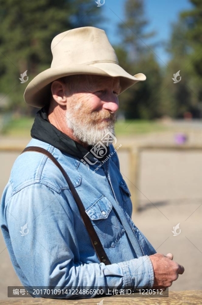 老牛仔-匯圖網(wǎng) www.fosd68.com 老牛仔