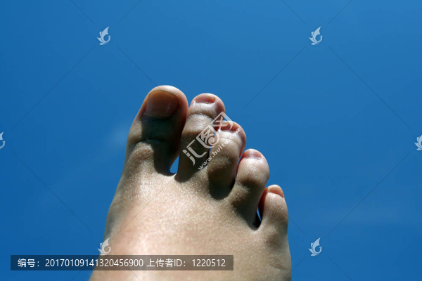 腳-匯圖網(wǎng) www.fosd68.com 腳