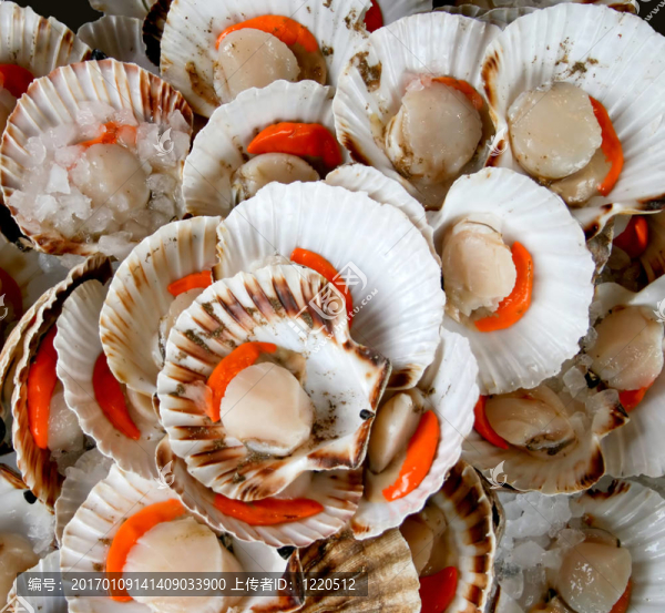 美味的殼-匯圖網(wǎng) www.fosd68.com 美味的殼