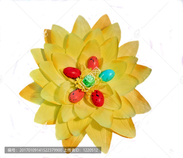 復(fù)活節(jié)黃色花。