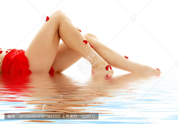 長(zhǎng)腿女士在水里-匯圖網(wǎng) www.fosd68.com 長(zhǎng)腿女士在水里