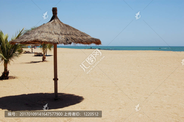 沙灘傘
