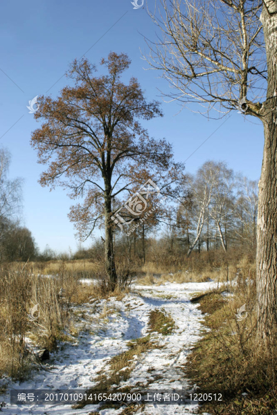 第一場(chǎng)雪