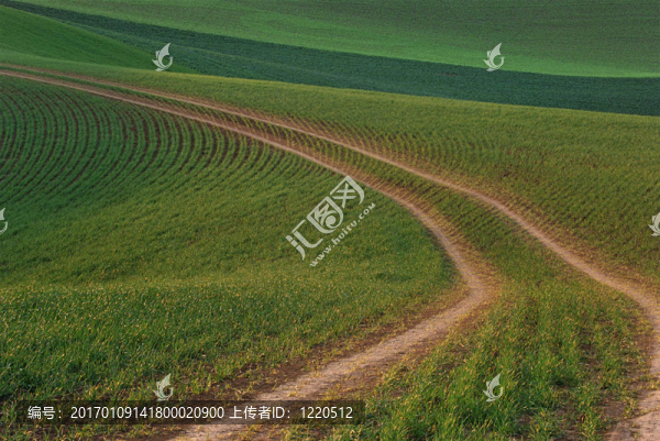跟隨你的道路