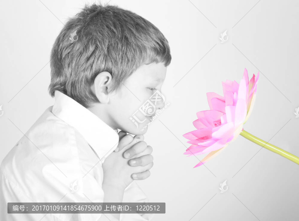 聞花