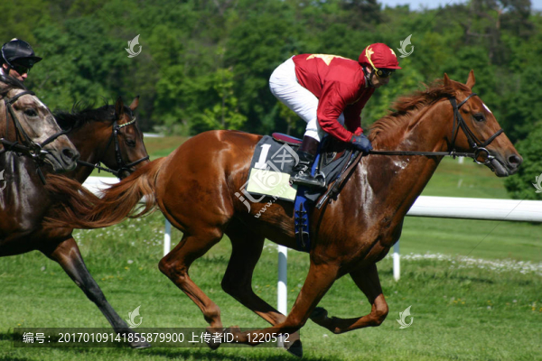 horserunning
