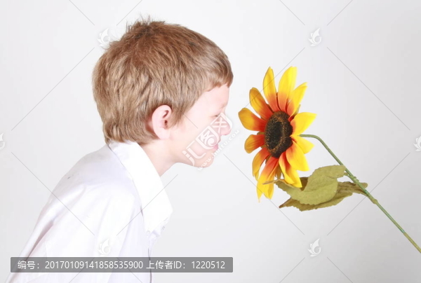 聞著向日葵