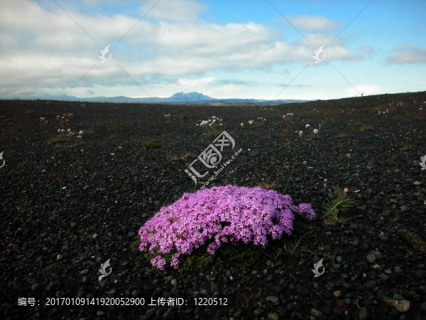 巖石的甜點(diǎn)-匯圖網(wǎng) www.fosd68.com 巖石的甜點(diǎn)