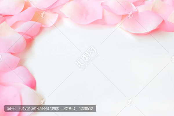 玫瑰花瓣的邊界