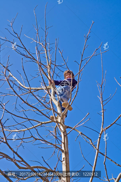 攀登-匯圖網(wǎng) www.fosd68.com 攀登