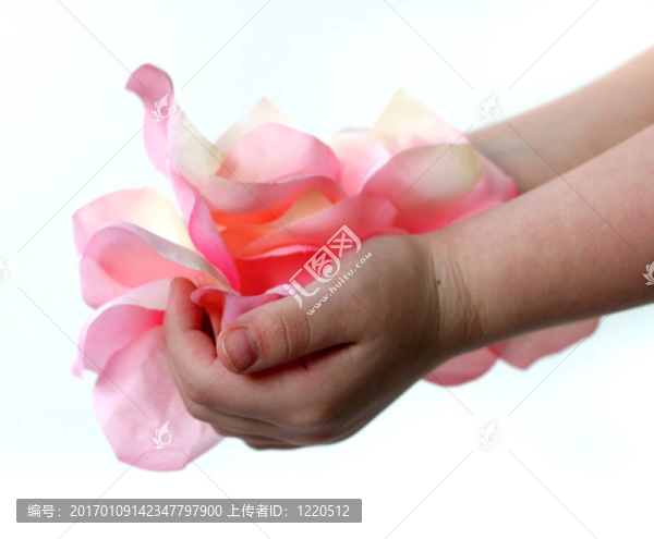 手滿花瓣