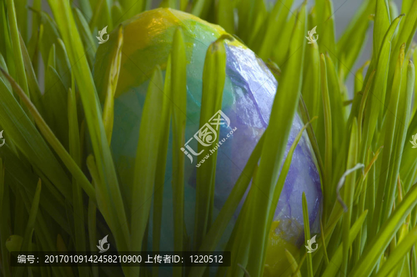 一個躲在草叢里的孩子畫的彩蛋