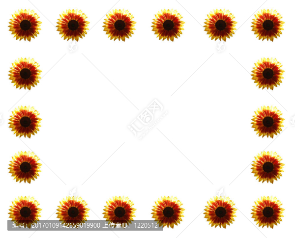 sunflowercard