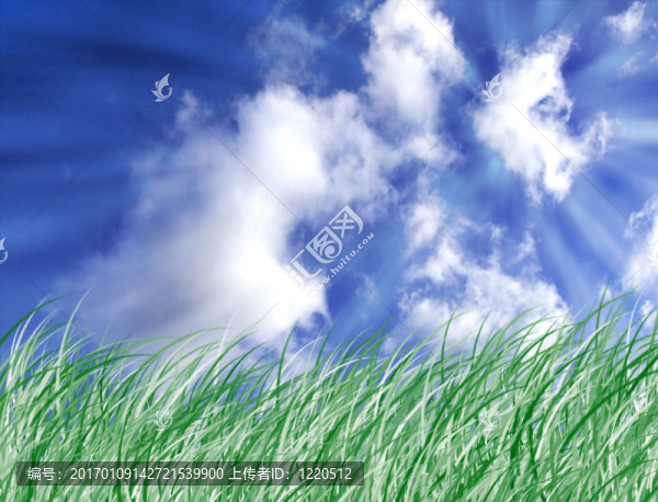 草地和天空