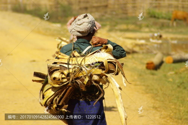 亞洲農(nóng)民1