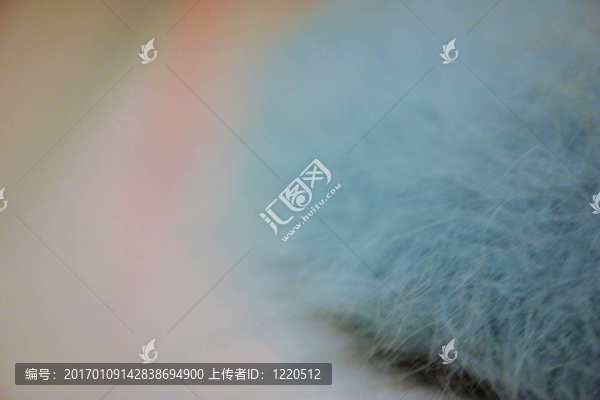 angorra毛皮