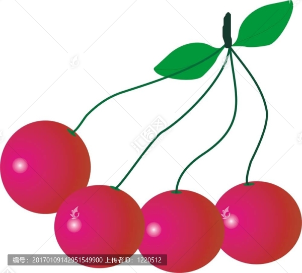 櫻桃