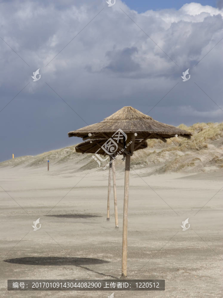 海灘