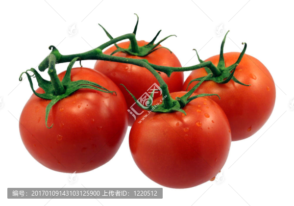 紅色的西紅柿