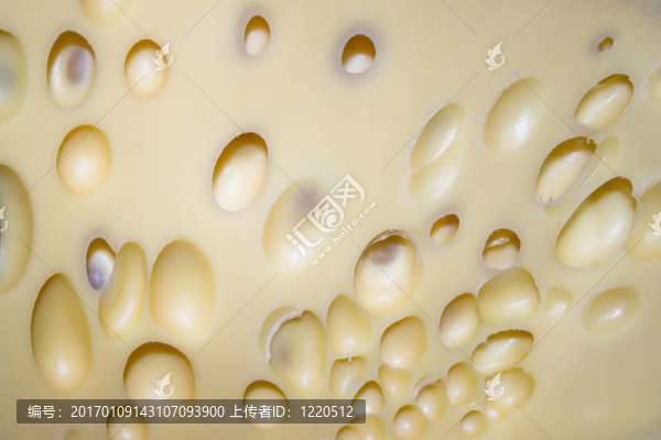 奶酪的整體