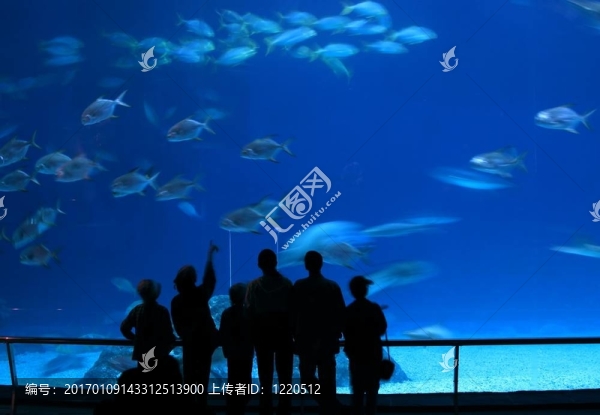 游客在水族館