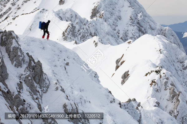 高山勇闖天涯